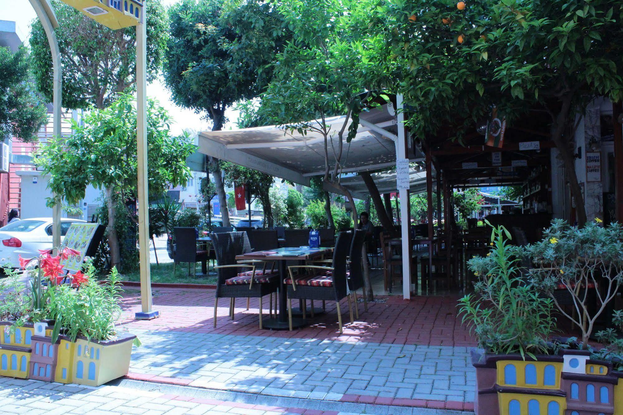 Mola Hotel ألانيا المظهر الخارجي الصورة